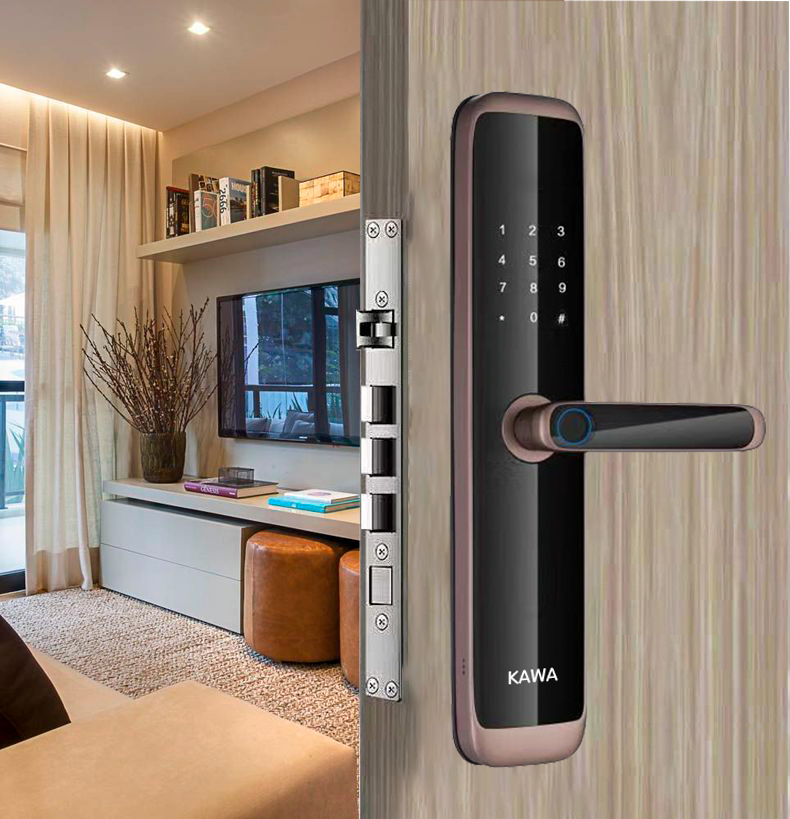 Khóa cửa vân tay